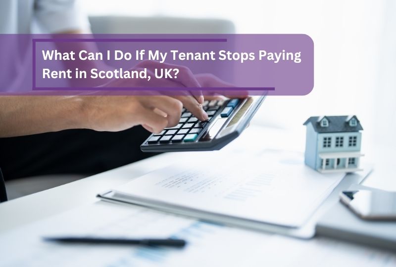 Westport Property - Dundee