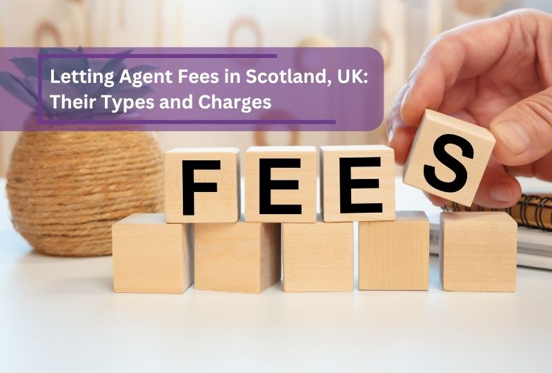 Westport Property - Dundee