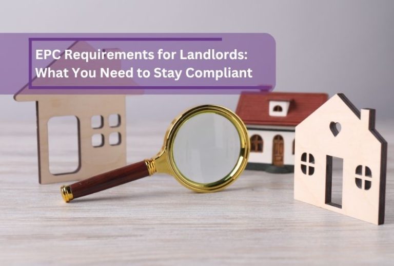 How Much Do Letting Agents Charge in Scotland, UK?