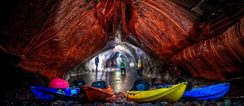Arbroath Cliff Tours