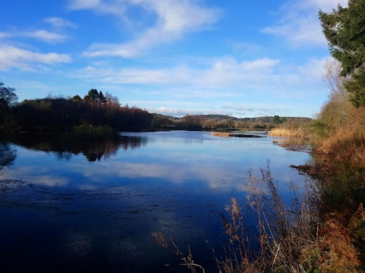 newport-on-tay lake