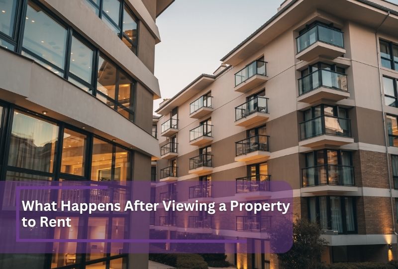 What happens after viewing a property to rent