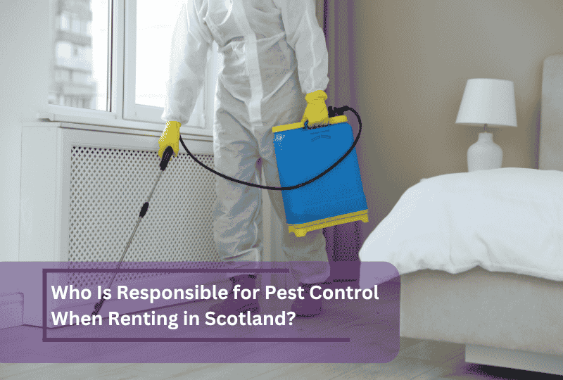 who is responsible for pest control when renting
