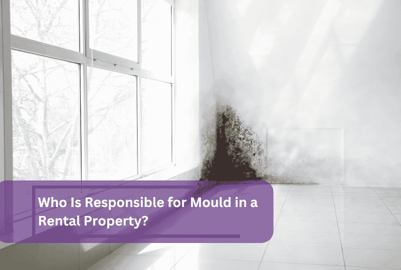 who is responsible for mould in a rental property